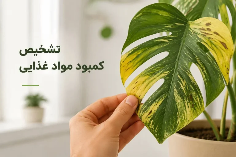 تشخیص کمبود مواد غذایی گیاهان | علائم و روش درمان
