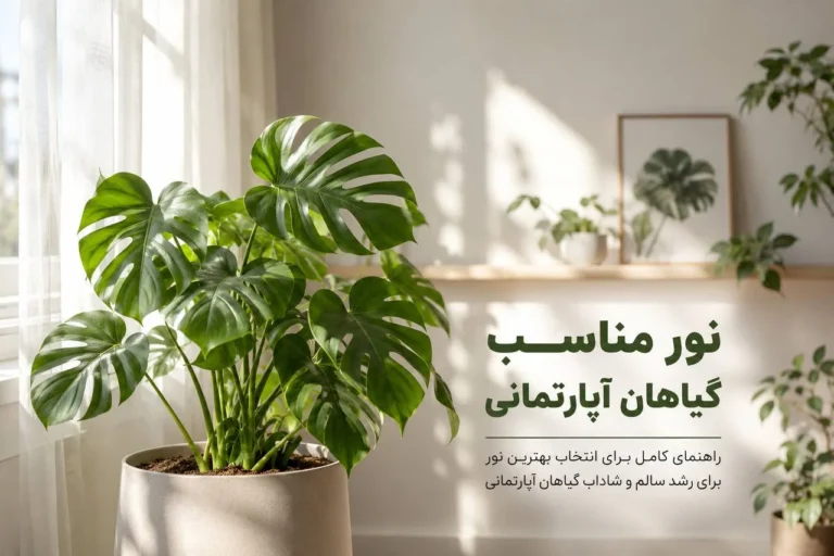 نور مناسب گیاهان آپارتمانی؛ راهنمای کامل انتخاب بهترین نور برای رشد سالم و شاداب گیاهان