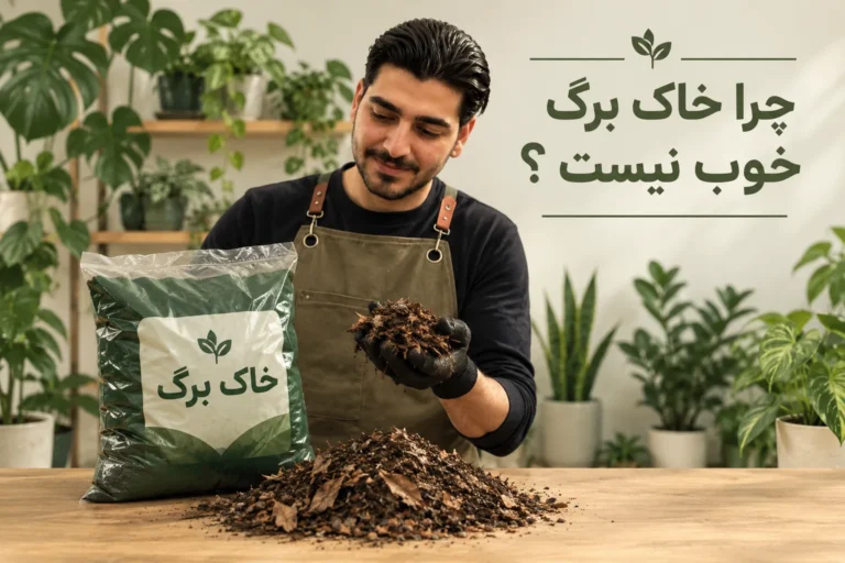 چرا خاک برگ خوب نیست؟ بررسی معایب خاک برگ و اشتباهات رایج در استفاده از آن